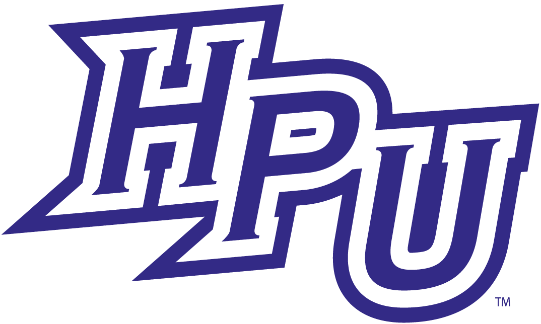 High Point Panthers 2012-Pres Primary Logo iron on transfers for T-shirts